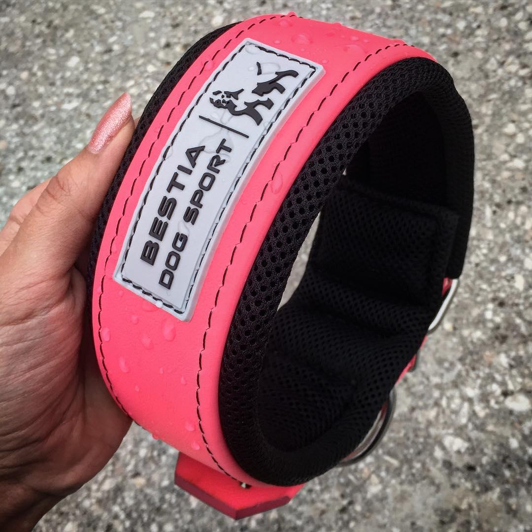 Collar Bestia Dog Sport rosa neón para perros