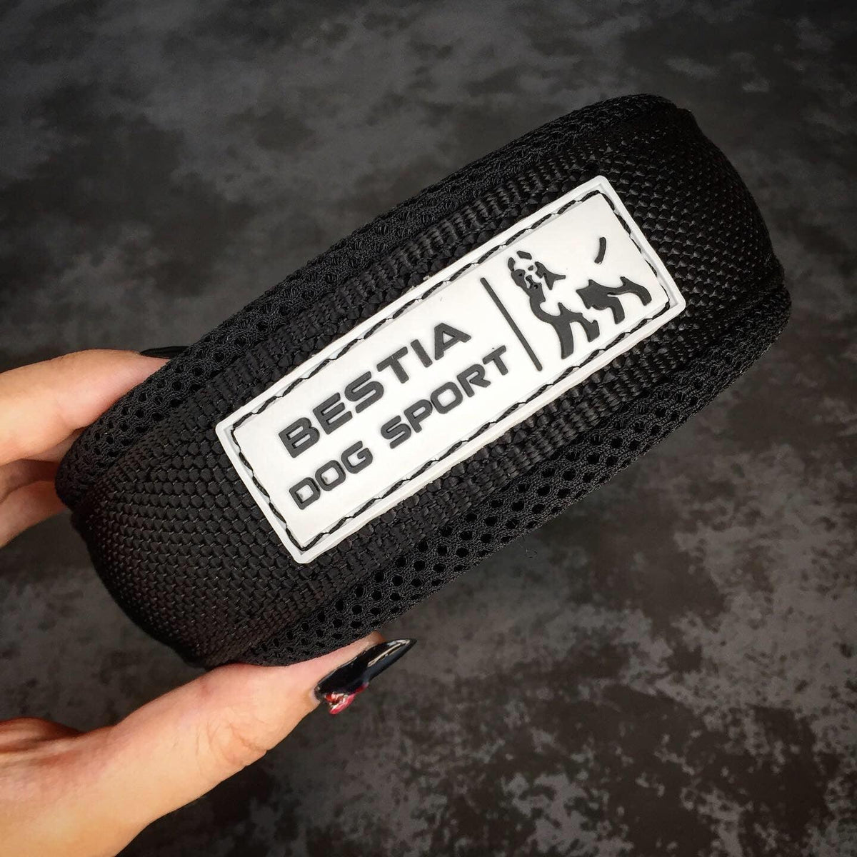 Collar Bestia Dog Sport negro de cierre rápido