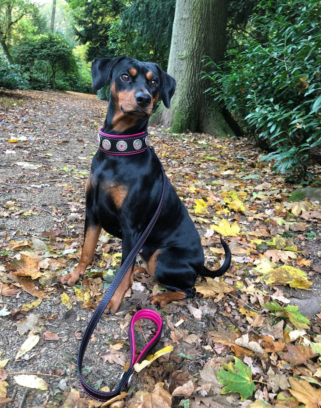 Collar Bijou negro y rosa para perros