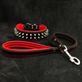 Set Frenchie rojo: collar y correa de cuero