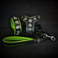 Set Bijou verde: collar, arnés y correa